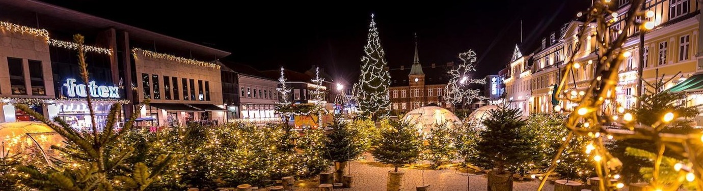 Beautiful Christmas scene with Hypedome domes