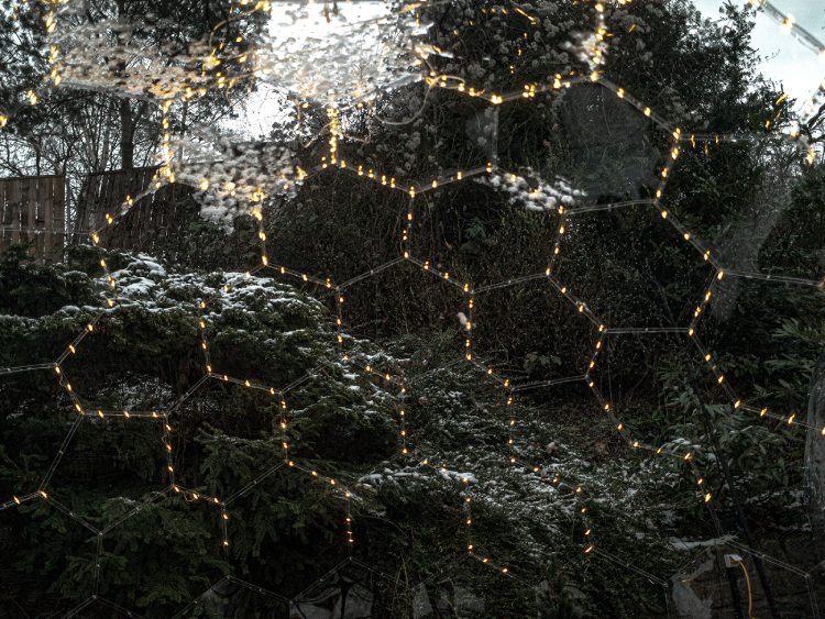 Fairy Lights