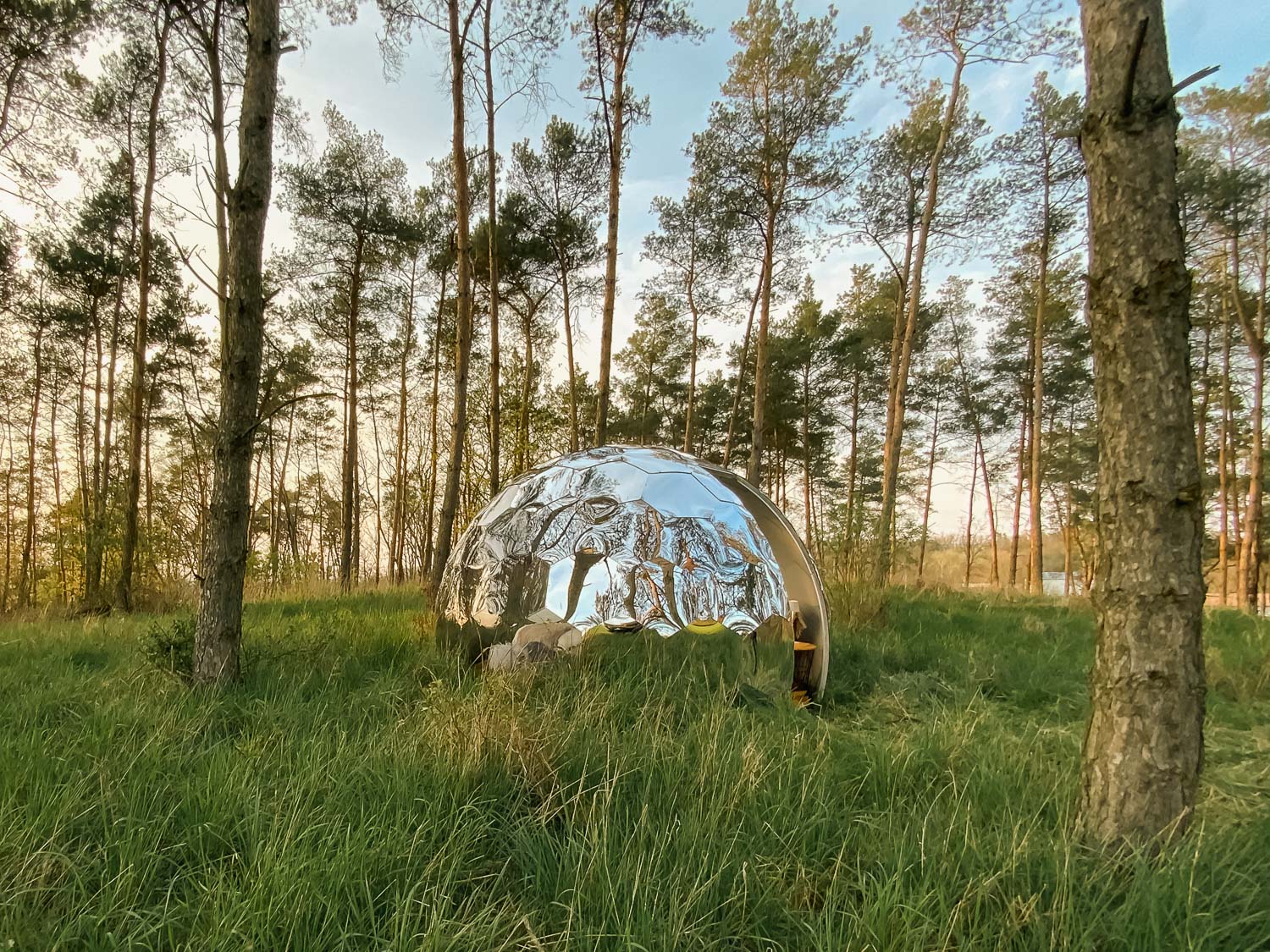 Hypedome_S_Mirror_Garden_Dome-12