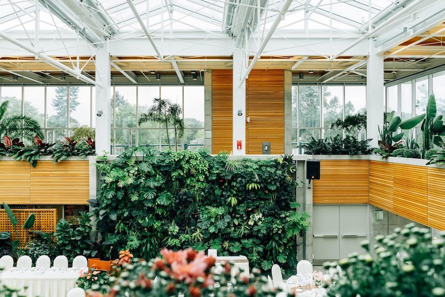 A large interior with green walls and other plants for the biophilic design