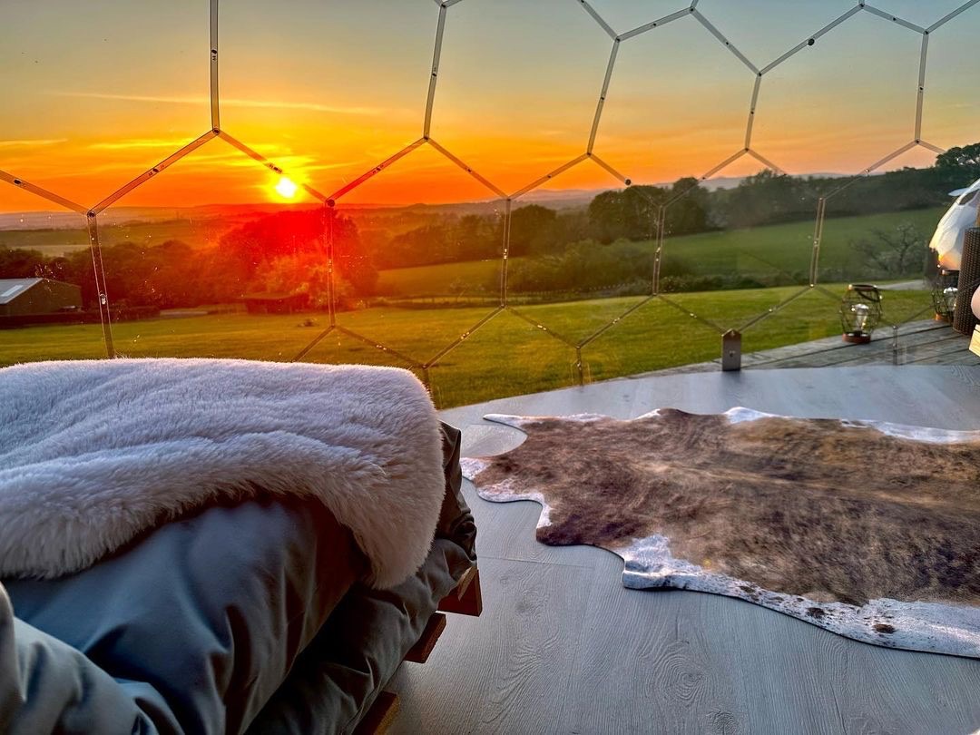 Sleeping under the stars in the garden dome