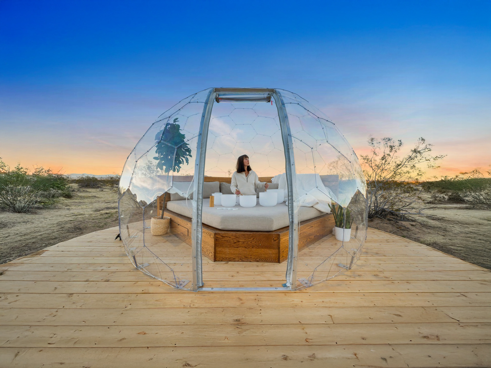 wellness_1